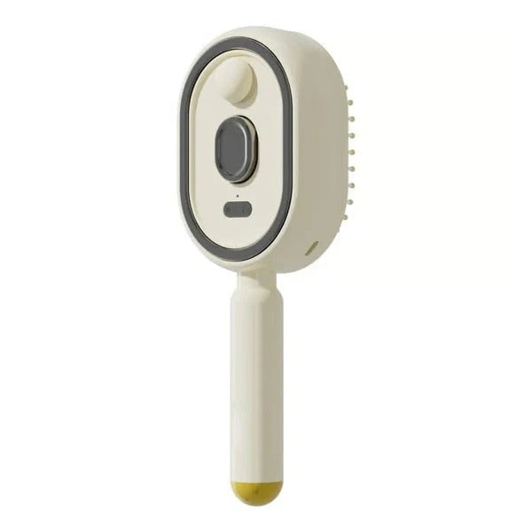 🪮Last Day 50% OFF🔥Electric Spray Air Cushion Massage Comb - Finds🔥🔥🔥